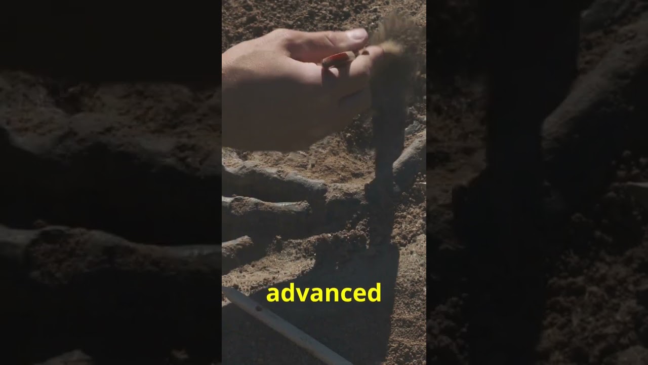 10 Mind-Blowing Facts About Forbidden Archaeology 2024