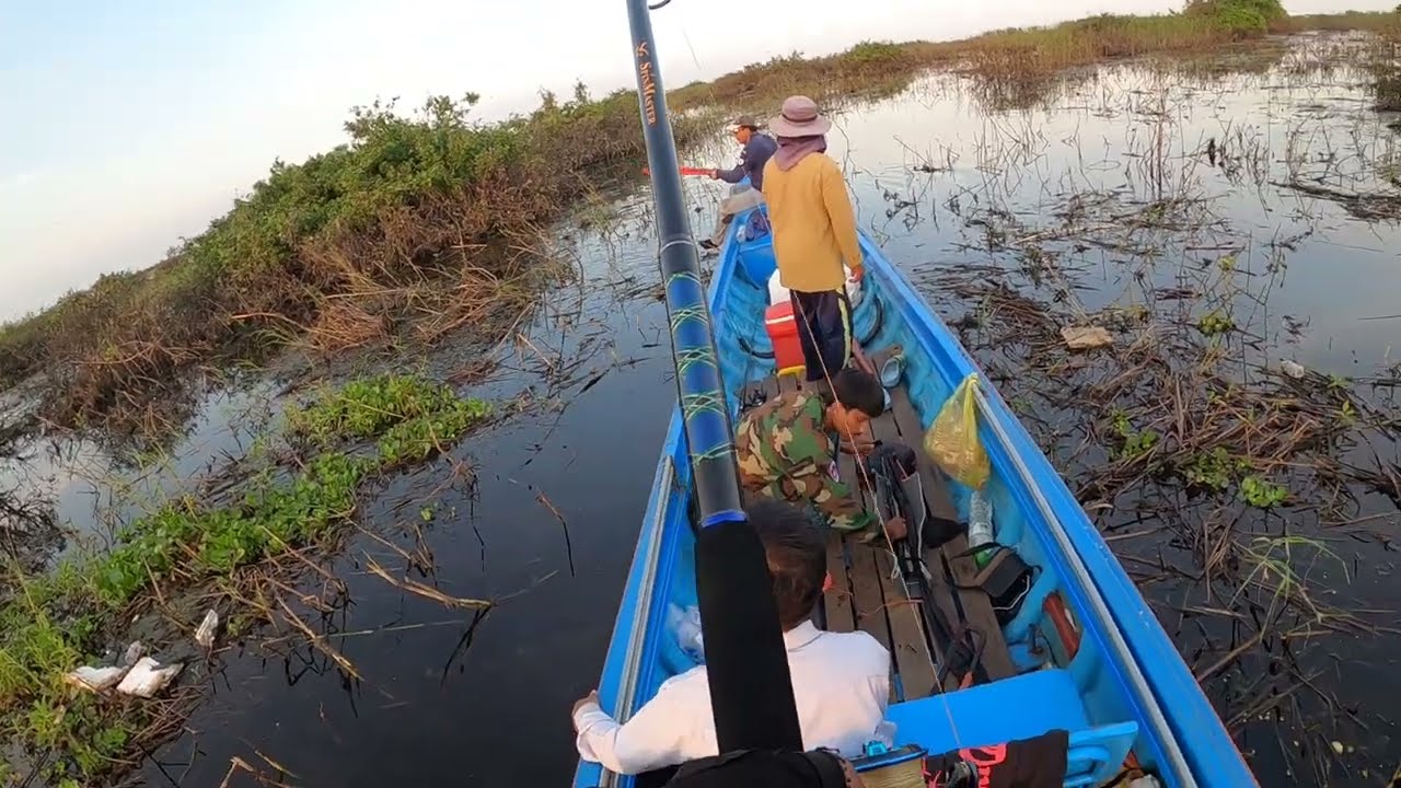 Net Fishing In Cambodia| Cambodia Fishing Style In Cambodia| Cambodia Fishing Season In Cambodia.