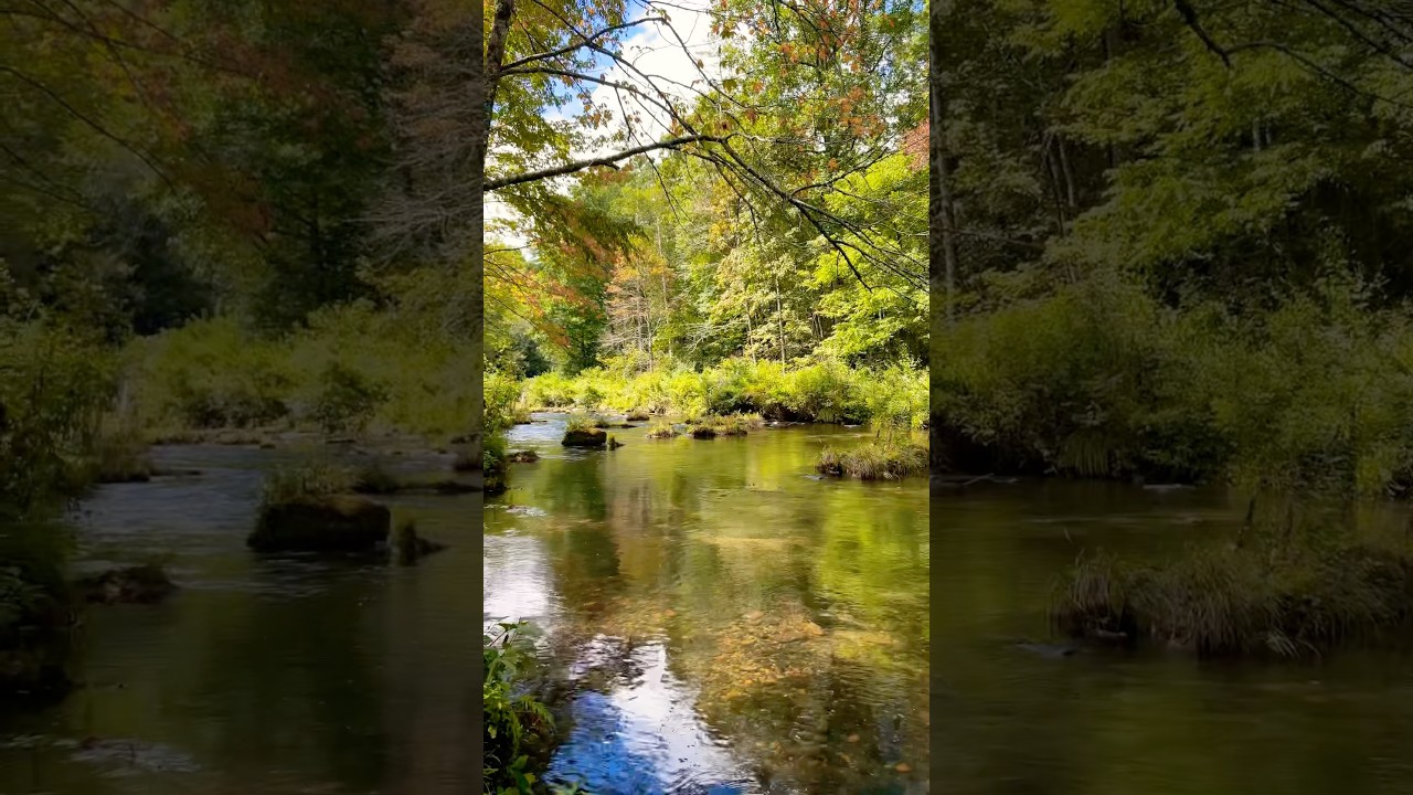 Camping or Glamping with a River View #camping #river #glamping #outdoors #nature