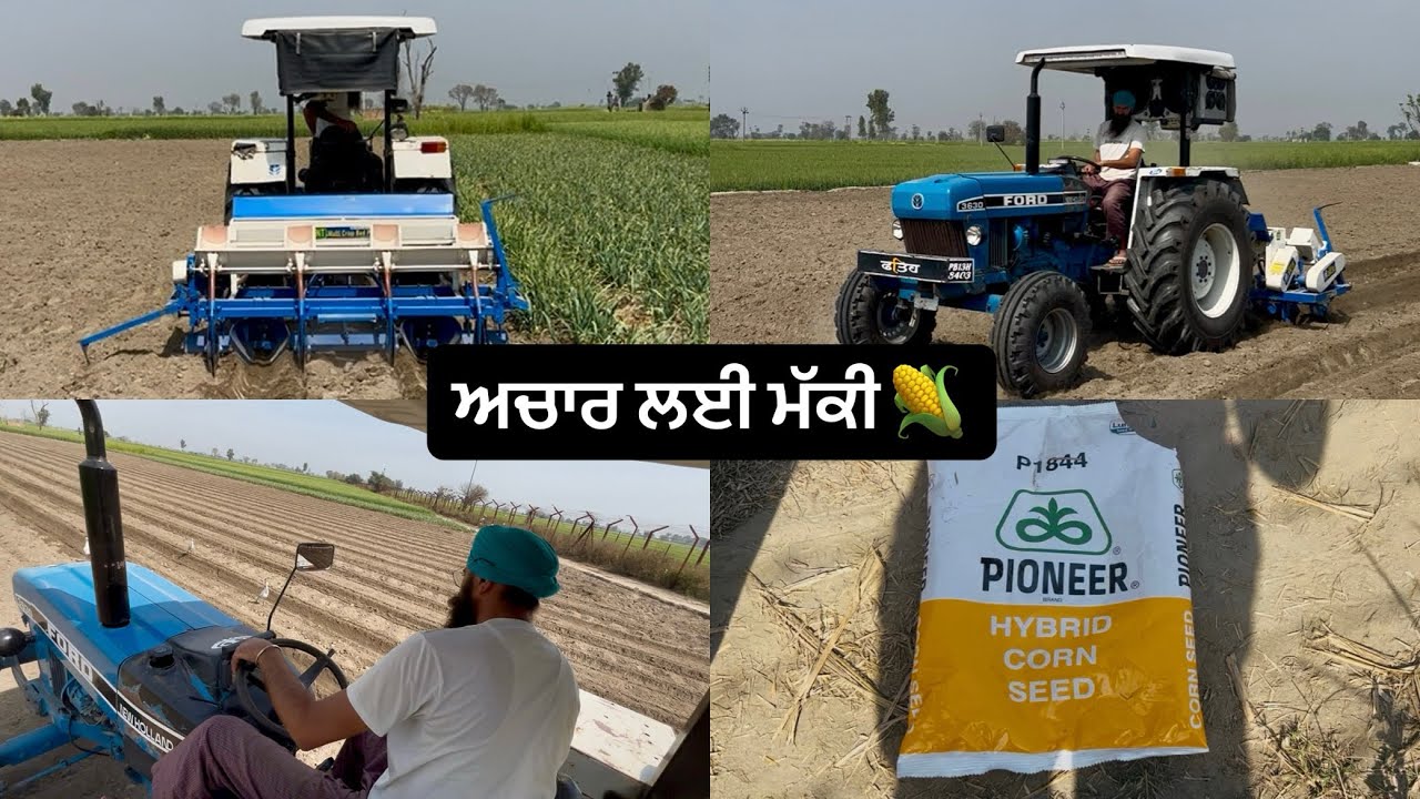 ਅਚਾਰ ਲਈ ਮੱਕੀ🌽 ਦੀ ਬਿਜਾਈ // corn seeding // new holland 3630 // dhillon brothers