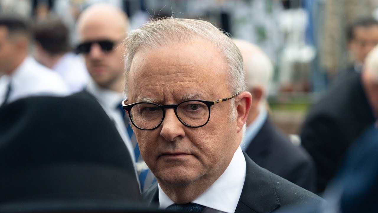 ‘Deluded, damaged leader’: Anthony Albanese failing to govern Australia