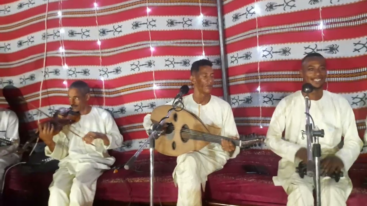الاغنية ياليالي ياليالي بصوت الفنان سكيمي 🎻🎸 القوة ثم القوة