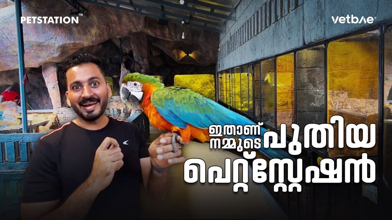 ഇപ്പോ ഇങ്ങനെയായി പെറ്റ്സ്റ്റേഷൻ, ചുമ്മാ ഒരു കൗതുകത്തിന്റെ പുറത്ത്‌ തുടങ്ങിയത്‌ നമ്മുടെ അഭിമാനം ആയി..