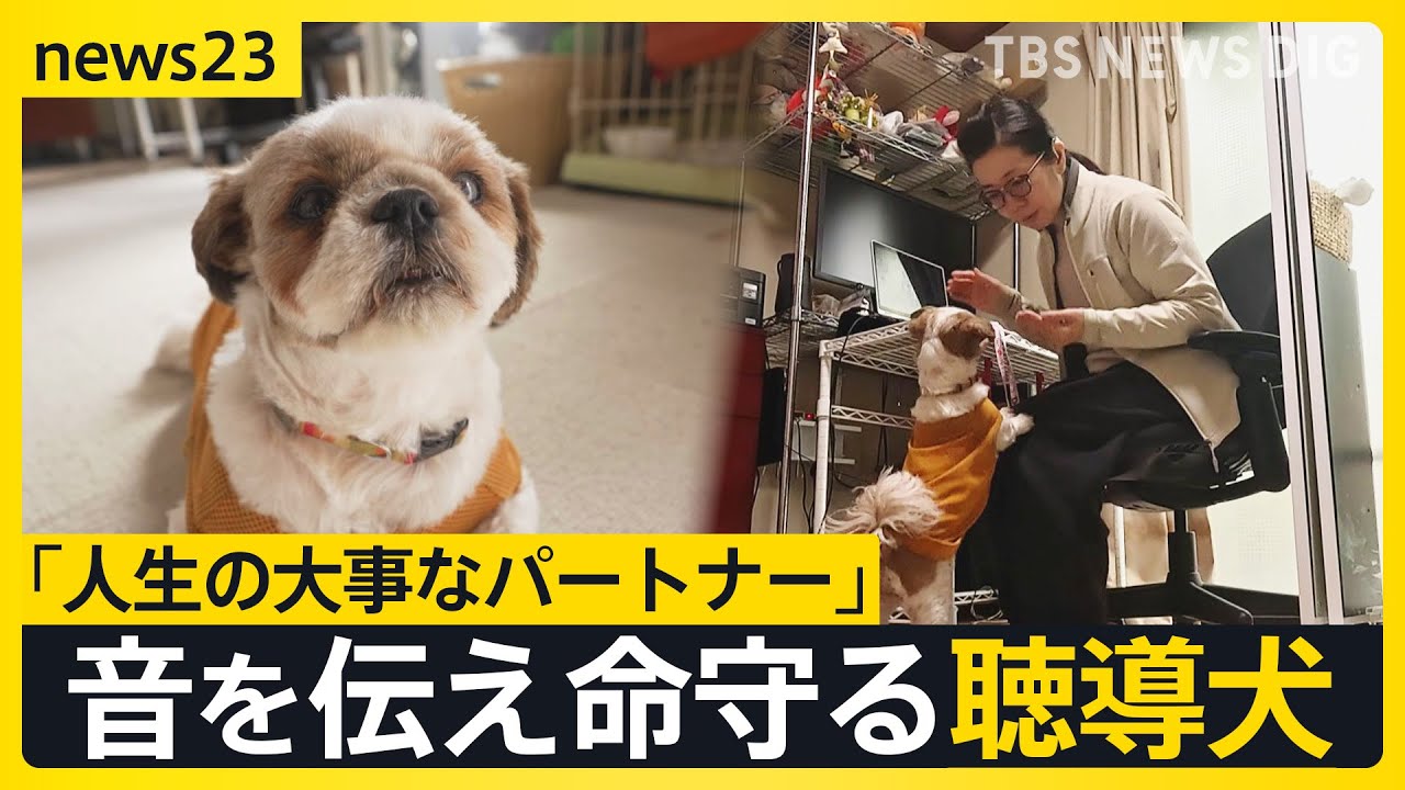 全国にわずか50頭 音を伝えて命を守る“聴導犬” 聞こえない世界を支える「人生の大事なパートナー」【news23】｜TBS NEWS DIG