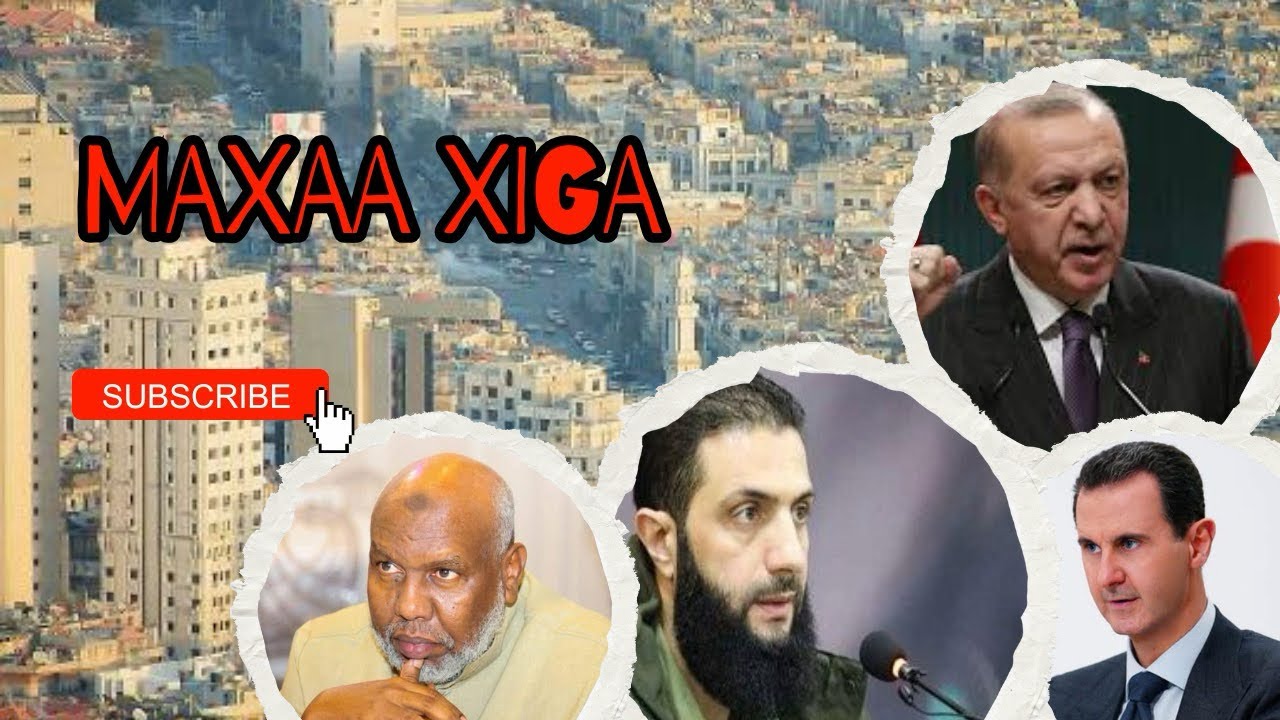 Maxaa dhici kara bashaar Dabadi || Sh cabdiraxaman Bashir