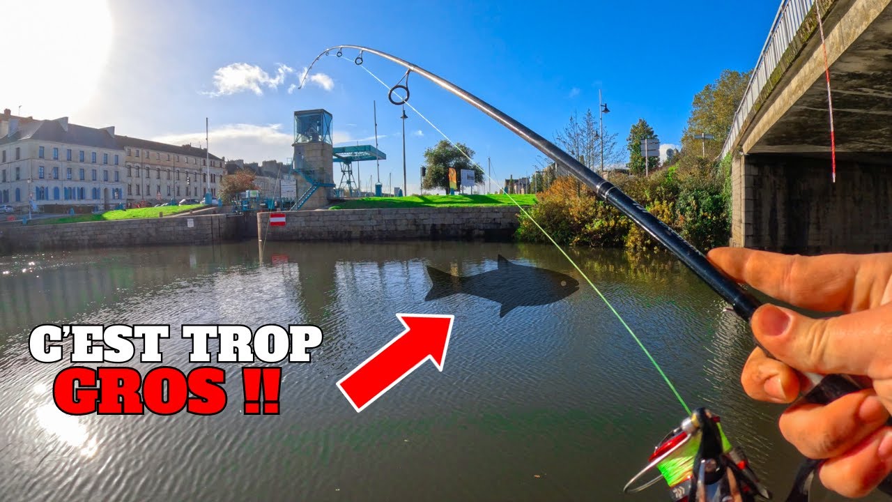 Cette TECHNIQUE de PECHE fait toute la DIFFERENCE en STREET FISHING, les POISSONS étaient FOUS !!