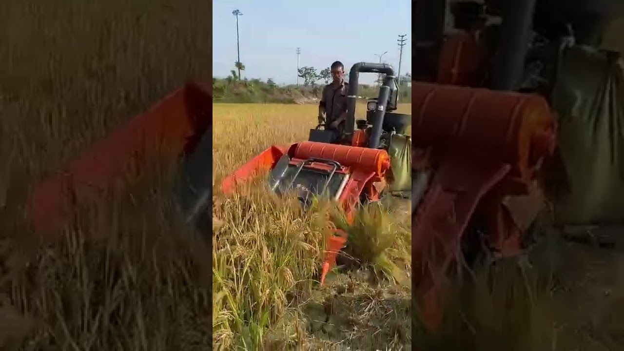 Mini. combine harvester 👌👌 #combine #harvester #short #shorts #agriculture