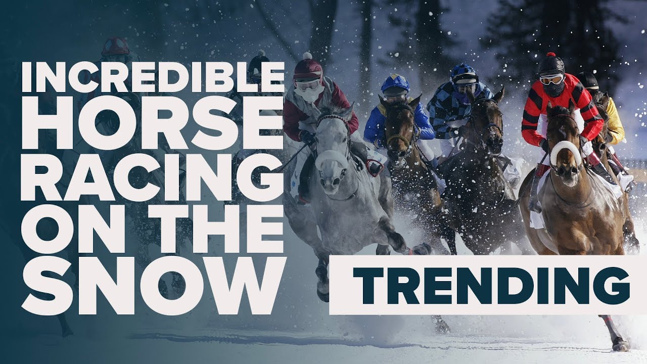 HORSE RACING ON SNOW | The White Turf in St Moritz