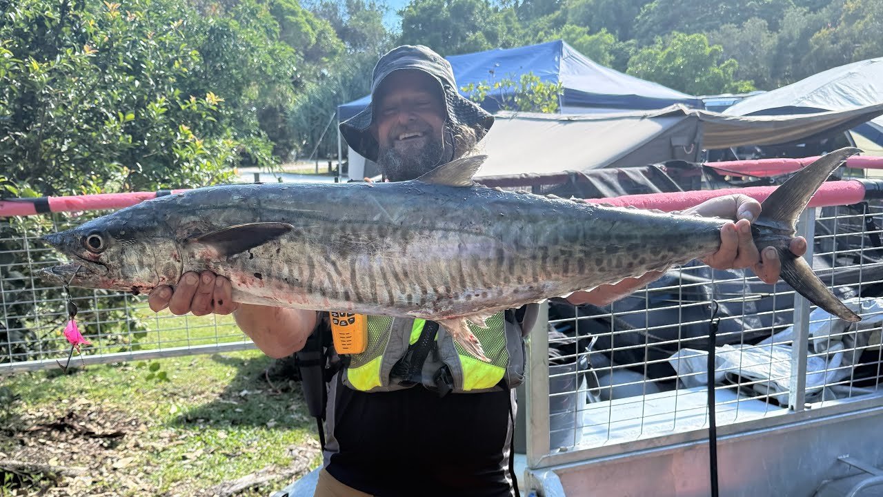 Kayak Fishing with slim reaper at Woody Head with the BustUpBrothers. Mackerel, Tuna caught! 