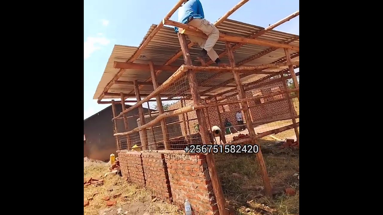 kikino ekiyumba kyaffe kiwedde..kyankonko 200..I don't own copy right to music playing in background