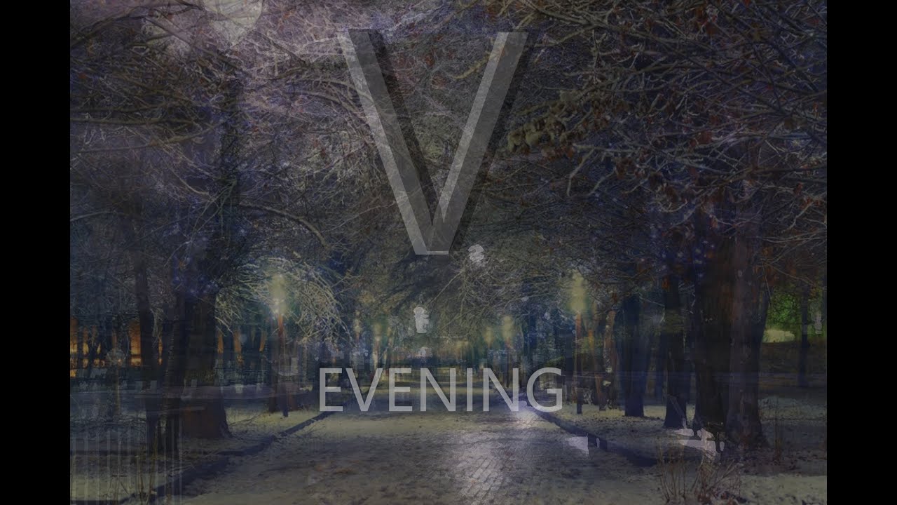 VIDEM - EVENING