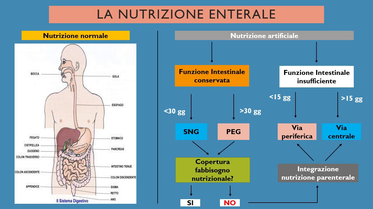 Nutrizione artificiale enterale
