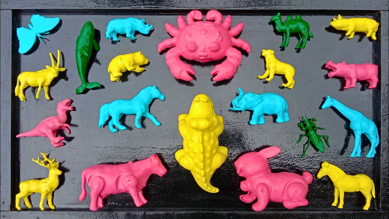 Membersihkan Hewan Sapi, Kelinci, Unta, Jerapah, Badak, Gajah, Zebra, Buaya, Babi, Dinosaurus T-rex 
