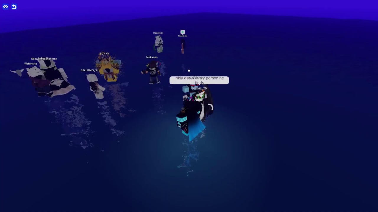 Roblox stream with fans and viewer