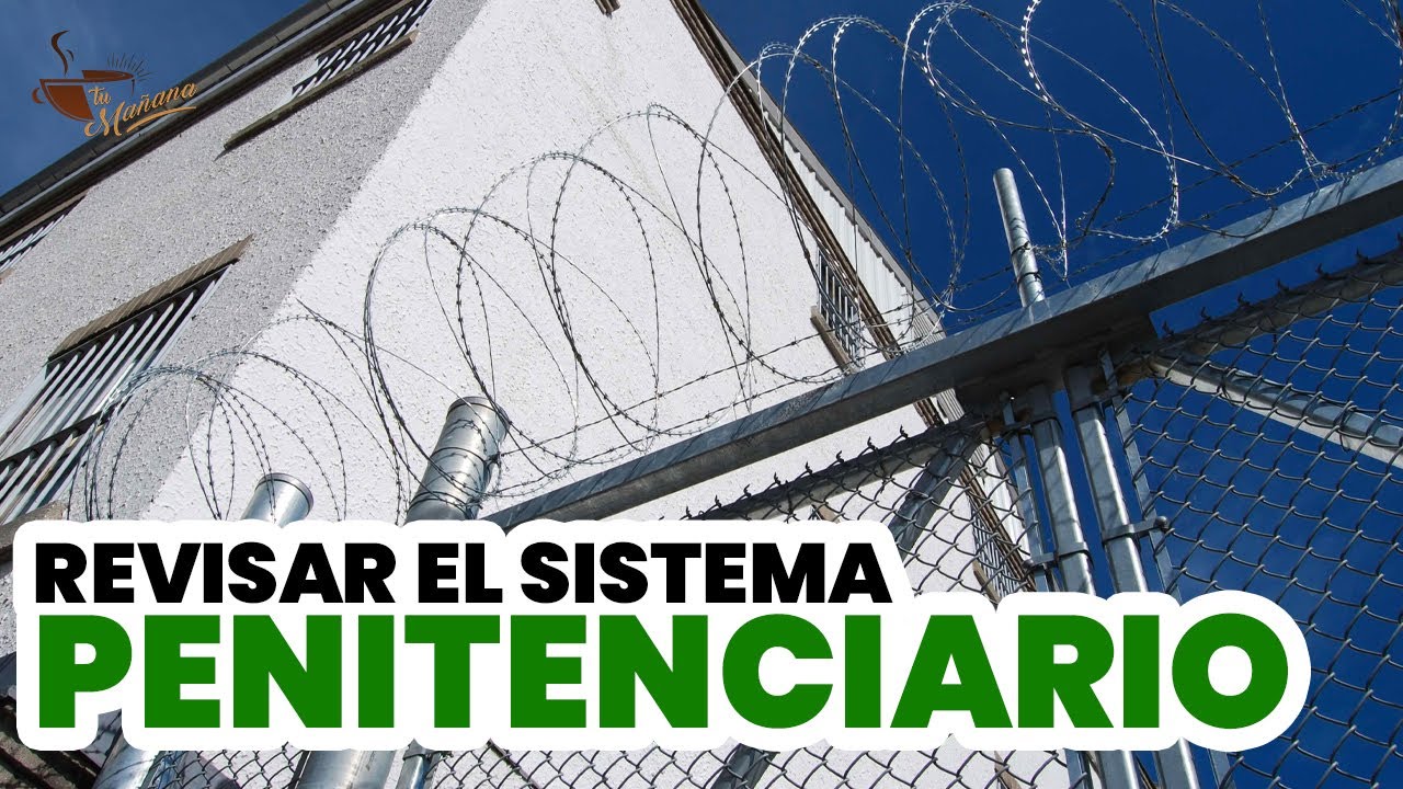 Dannira Caminero: El sistema penitenciario hay que revisarlo | Tu Ma&ntilde;ana By Cachicha