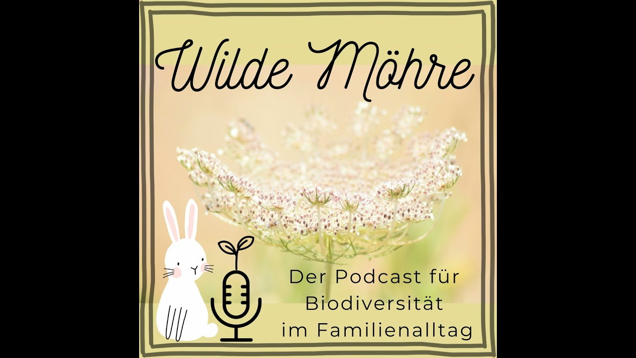 #6 Urlaubszeit ist Rauszeit