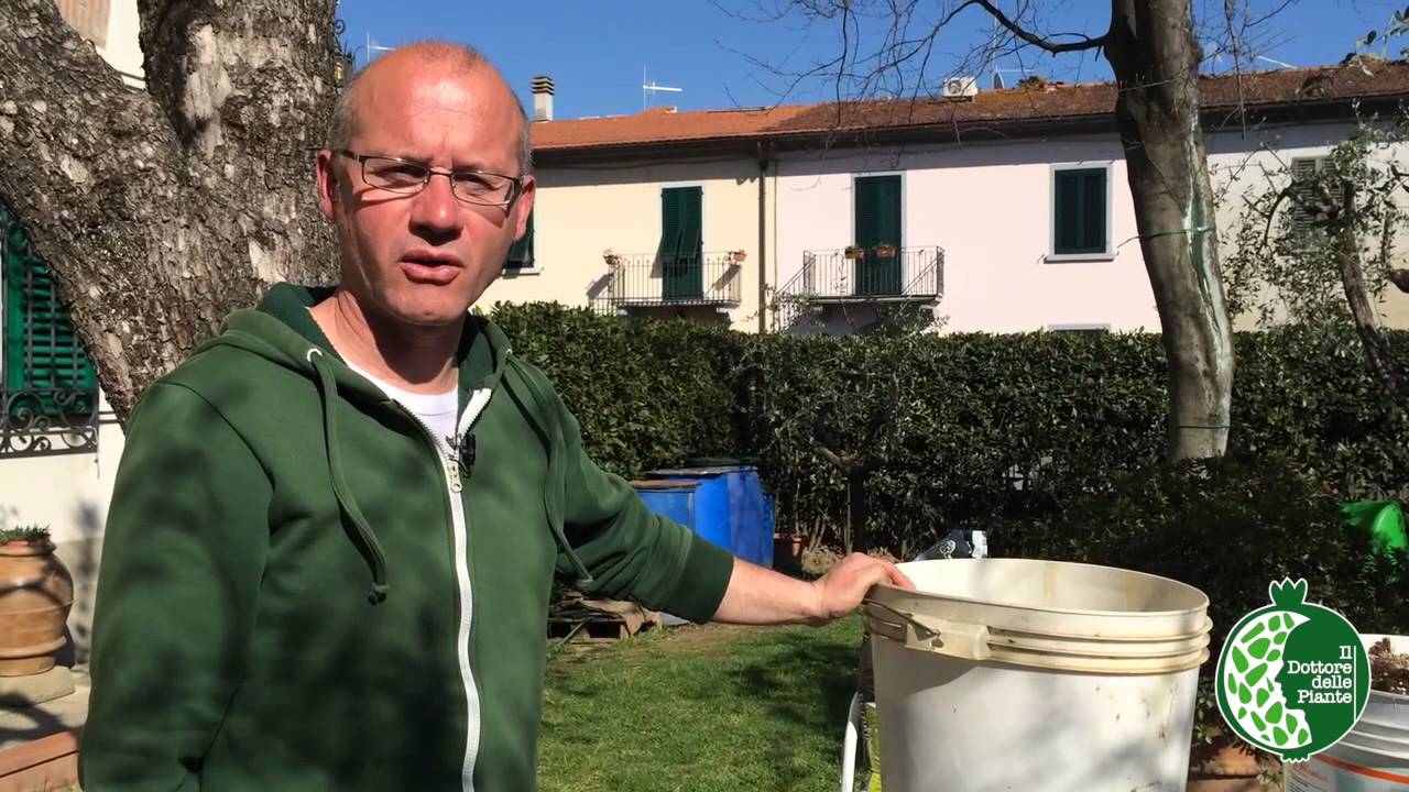 La tecnica della Semina (piante ornamentali)