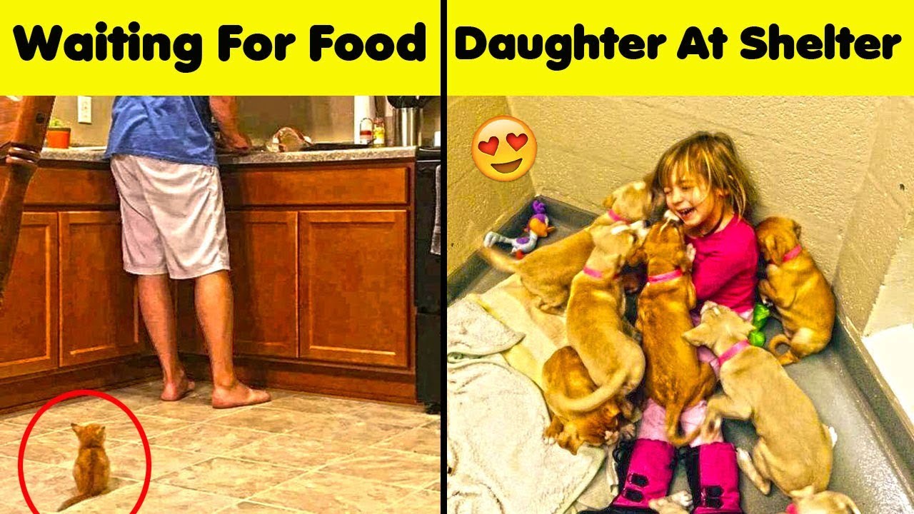 Cute Photos That Will Fill Your Heart With Happiness 😍