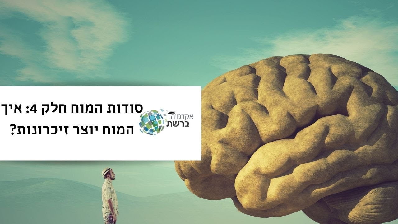 סודות המוח חלק 4: איך המוח יוצר זיכרונות?