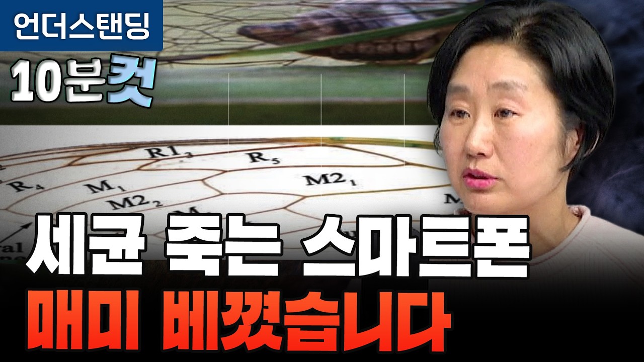 [10분컷] 대장균 찔러 죽이고 암세포 잡는다. 현미경으로 본 매미 날개의 비밀 (한국기계연구원 임현의 박사)