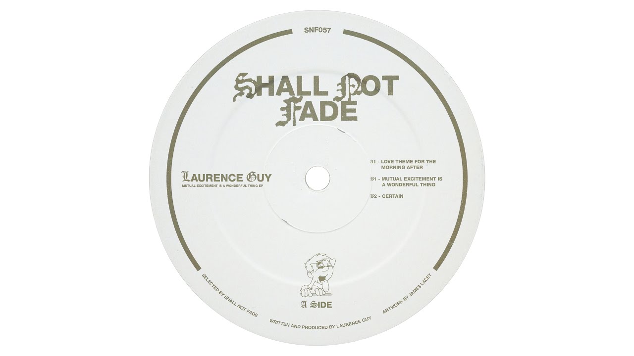 Laurence Guy - Mutual Excitement Is A Wonderful Thing [SNF057]