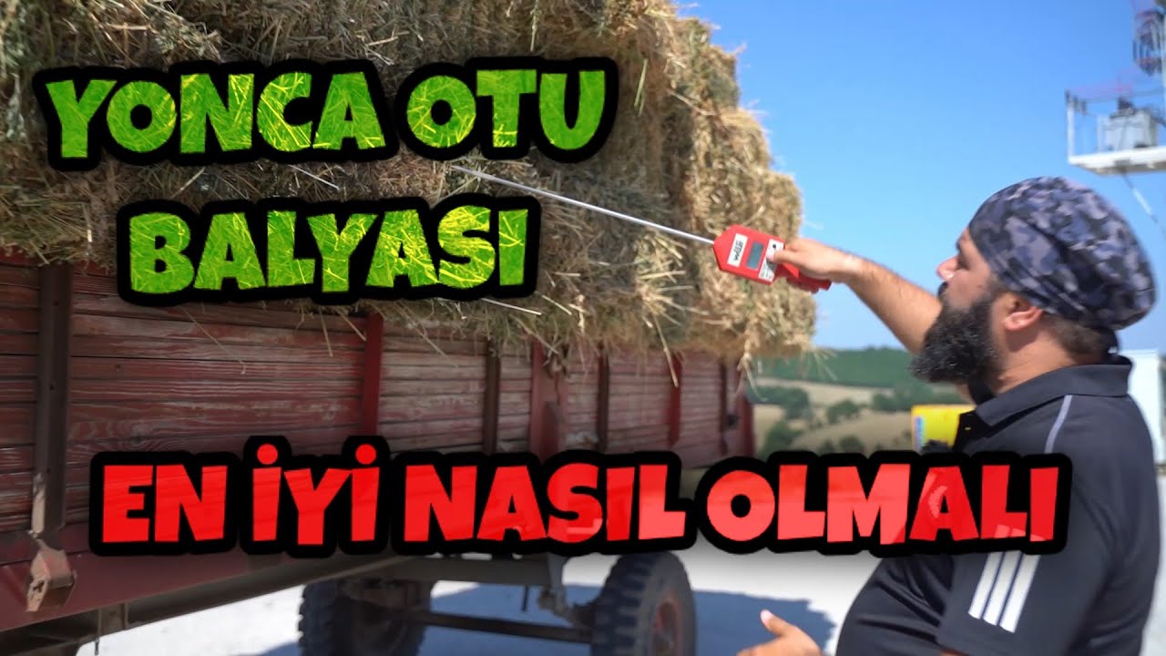 EN İYİ YONCA OTU BALYASI NASIL OLMALI (Küçükbaş | Büyükbaş Hayvancılık)