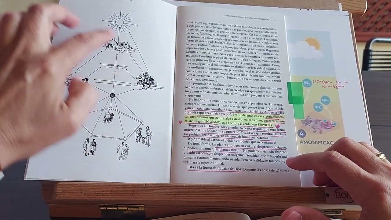 Educación Cósmica Montessori.  Hacer pis.
