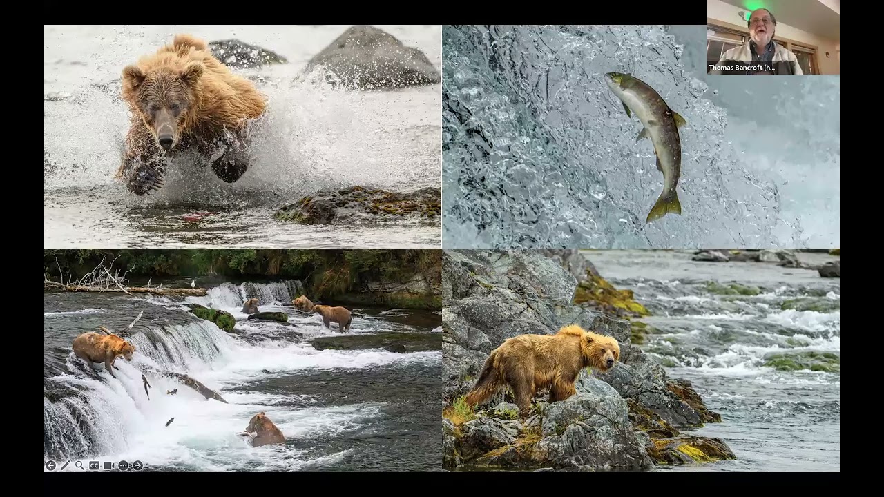 February 12, 2026, Monthly Program - A Naturalist on Alaska's Katmai Peninsula by Tom Bankroft.