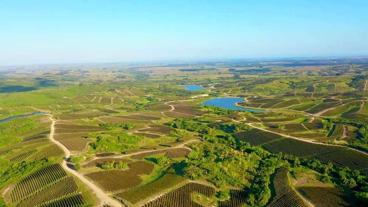 Volando sobre Bodega Garzon Uruguay DRONE FOOTAGE