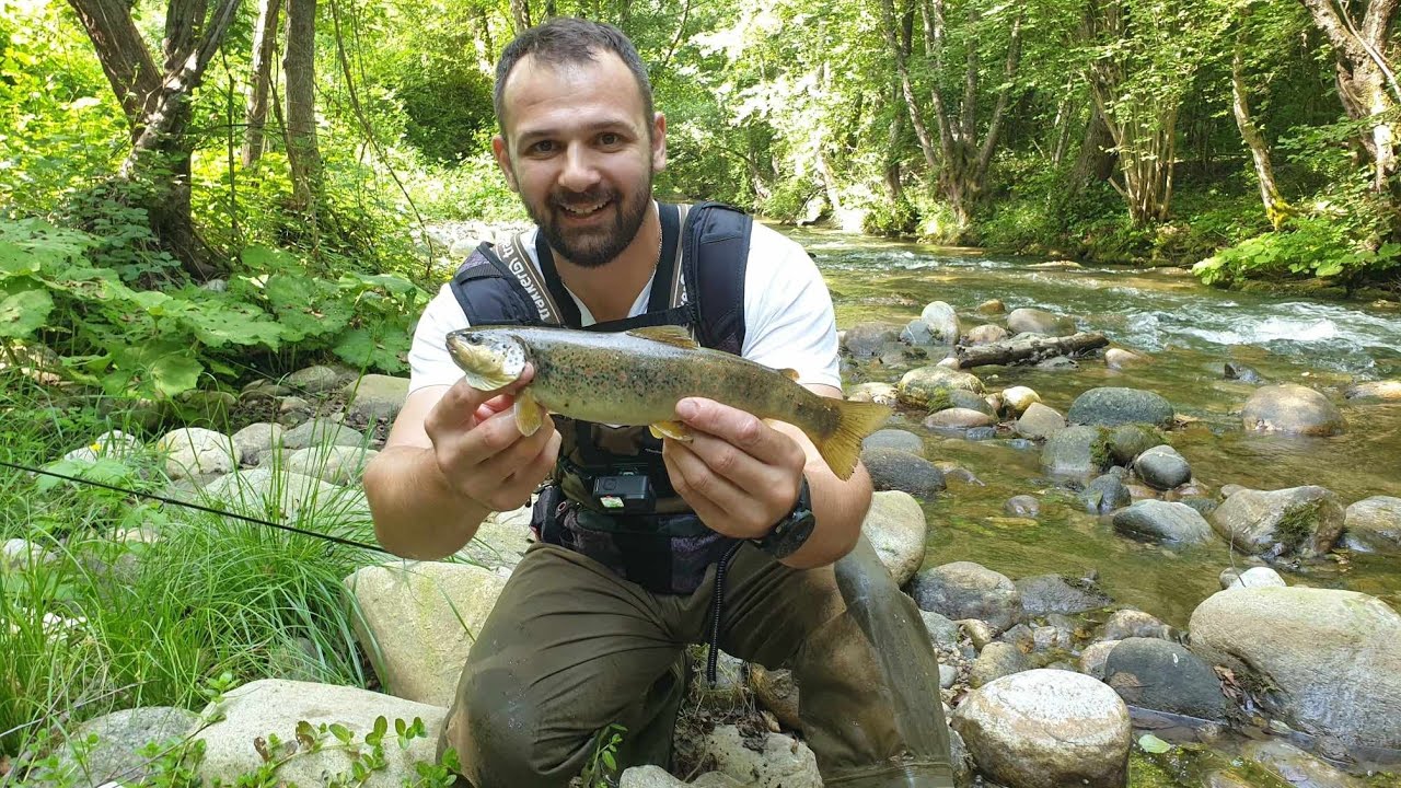 Ψάρεμα Άγριας Πέστροφας [Trout Fishing]