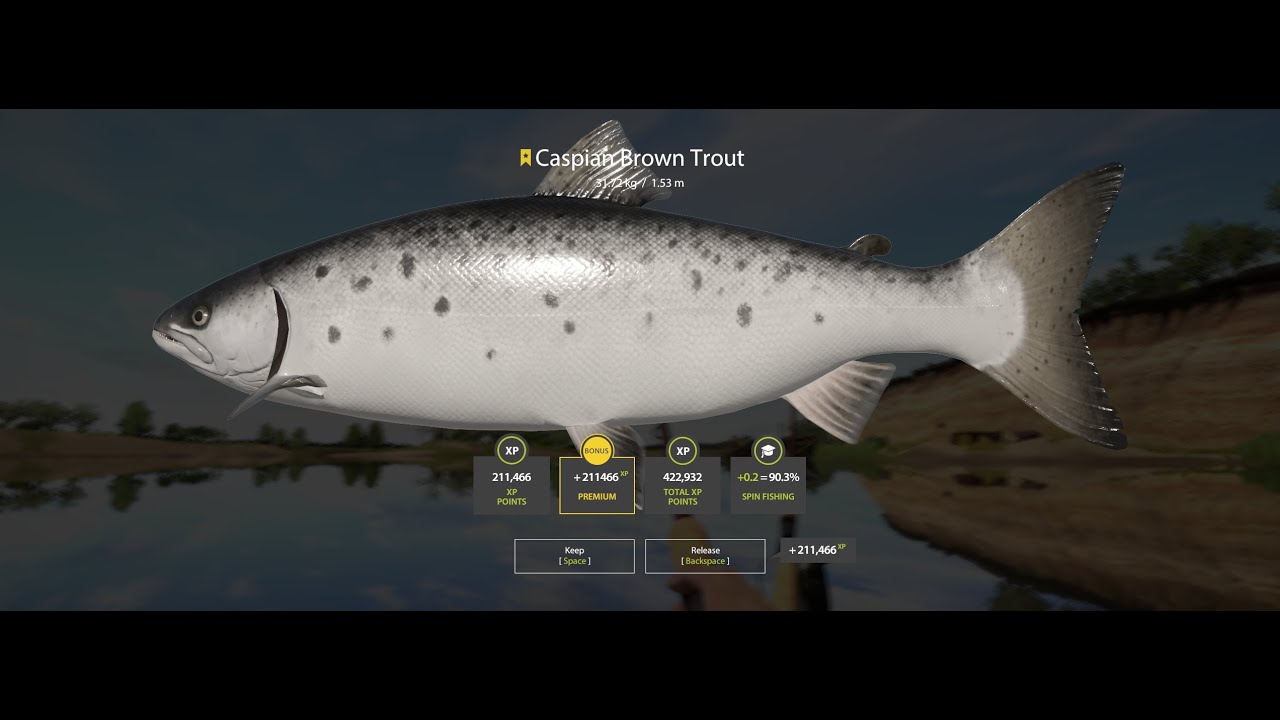 Russian Fishing 4  -  Caspian Brown Trout Trophy