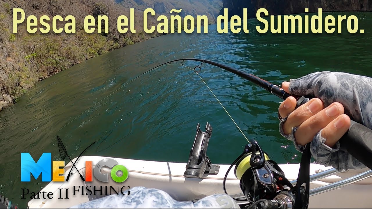 GANAMOS TORNEO / PESCA en el CAÑON del SUMIDERO, CHIAPAS, MACABIL y TENGUAYACA