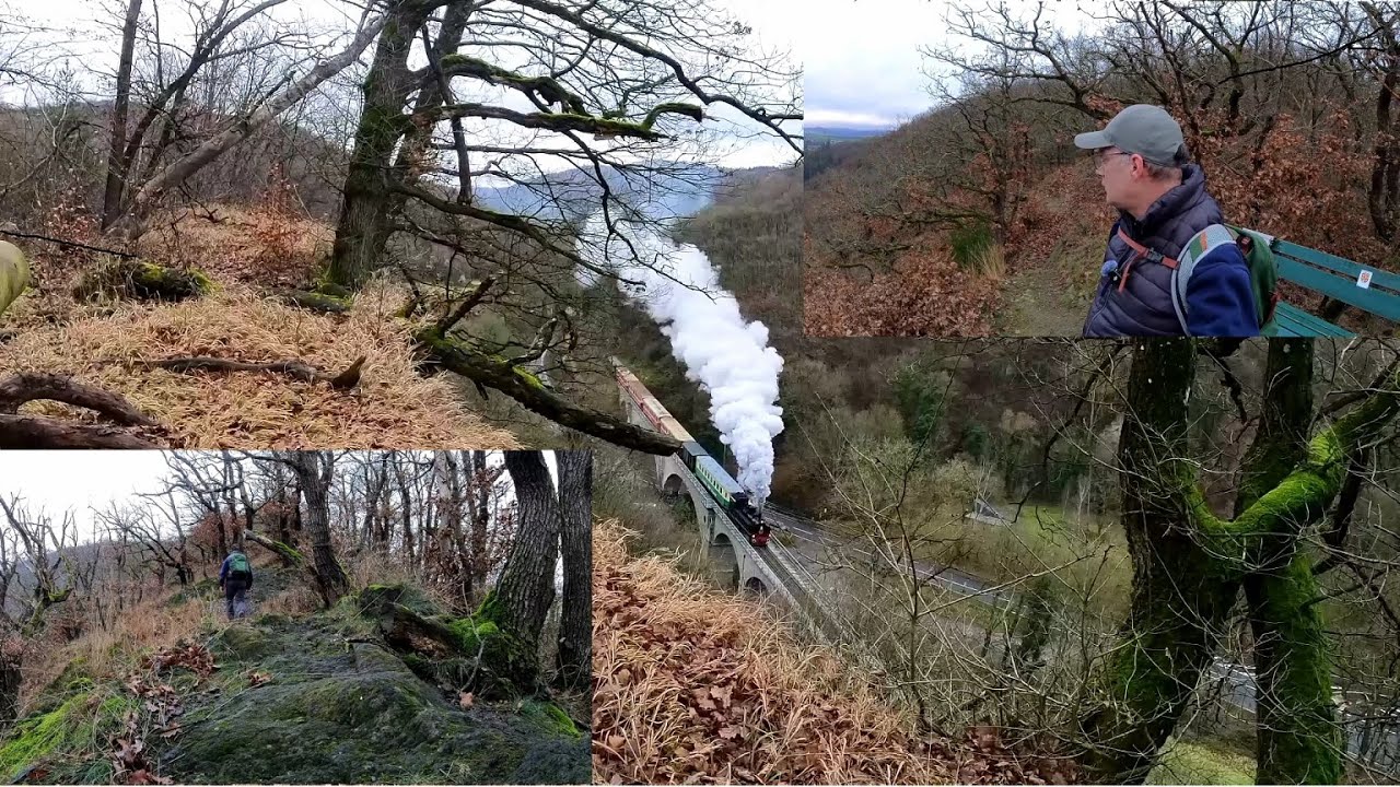 Wanderung des Vulkan  & Panoramaweg "Burgbrohl"