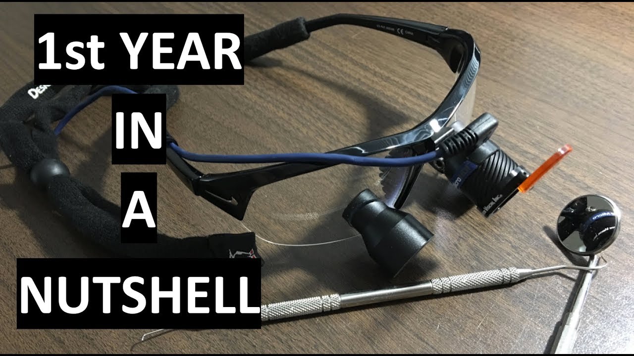 My 1st year of Dental School RECAP