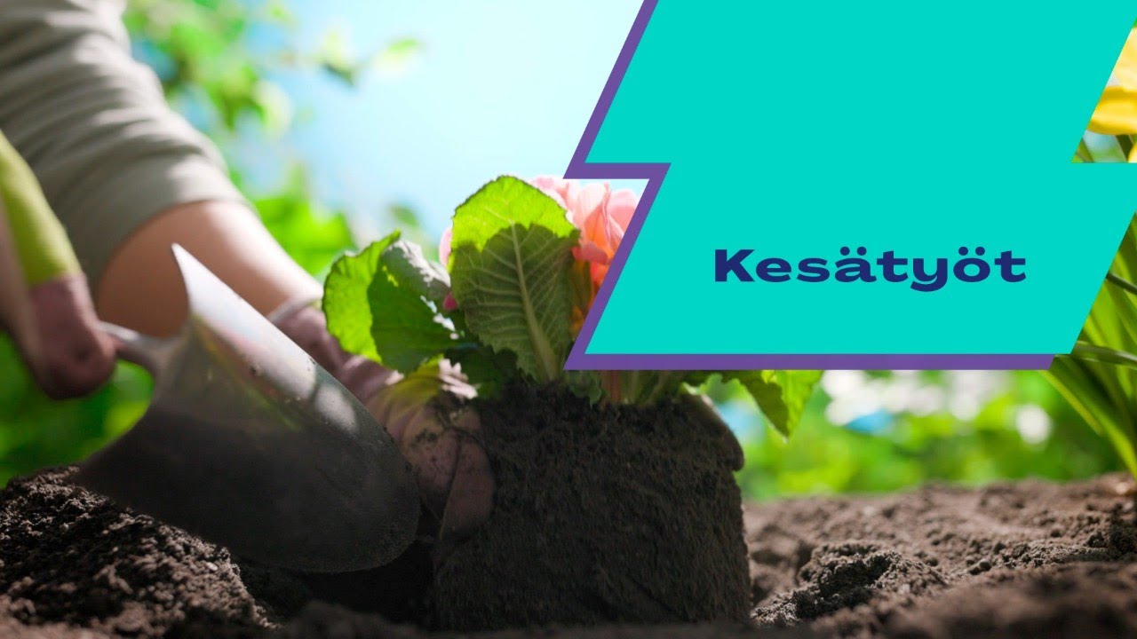 Kesätyöinfo