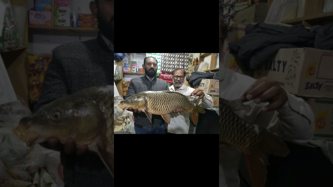 Fishing at Rawal Dam Islamabad catch China Carp