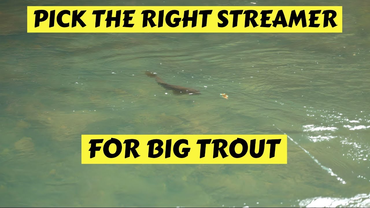 How To Pick The Right Streamer For Catching Big Trout