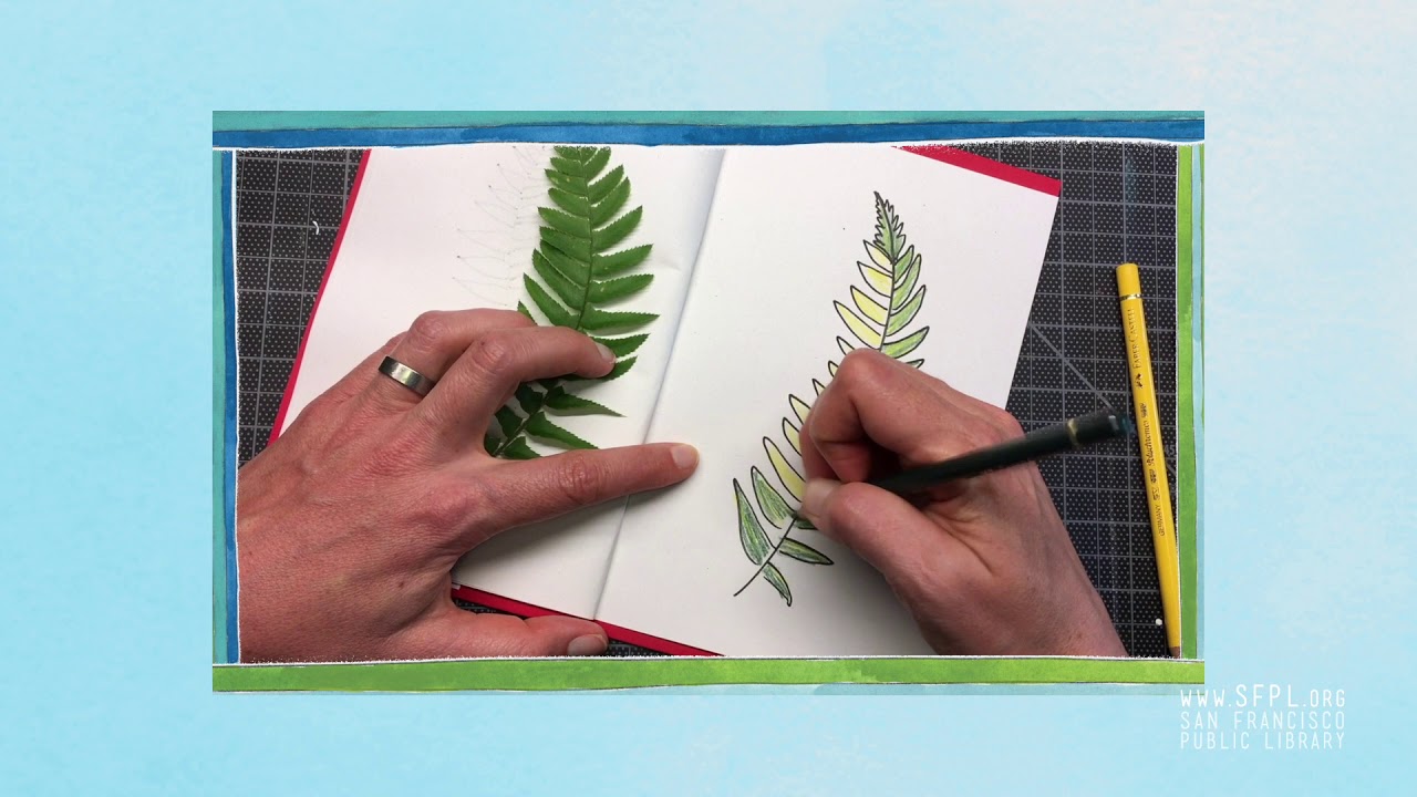 Create Nature Drawings and Leaf Rubbings with Alison Farrell