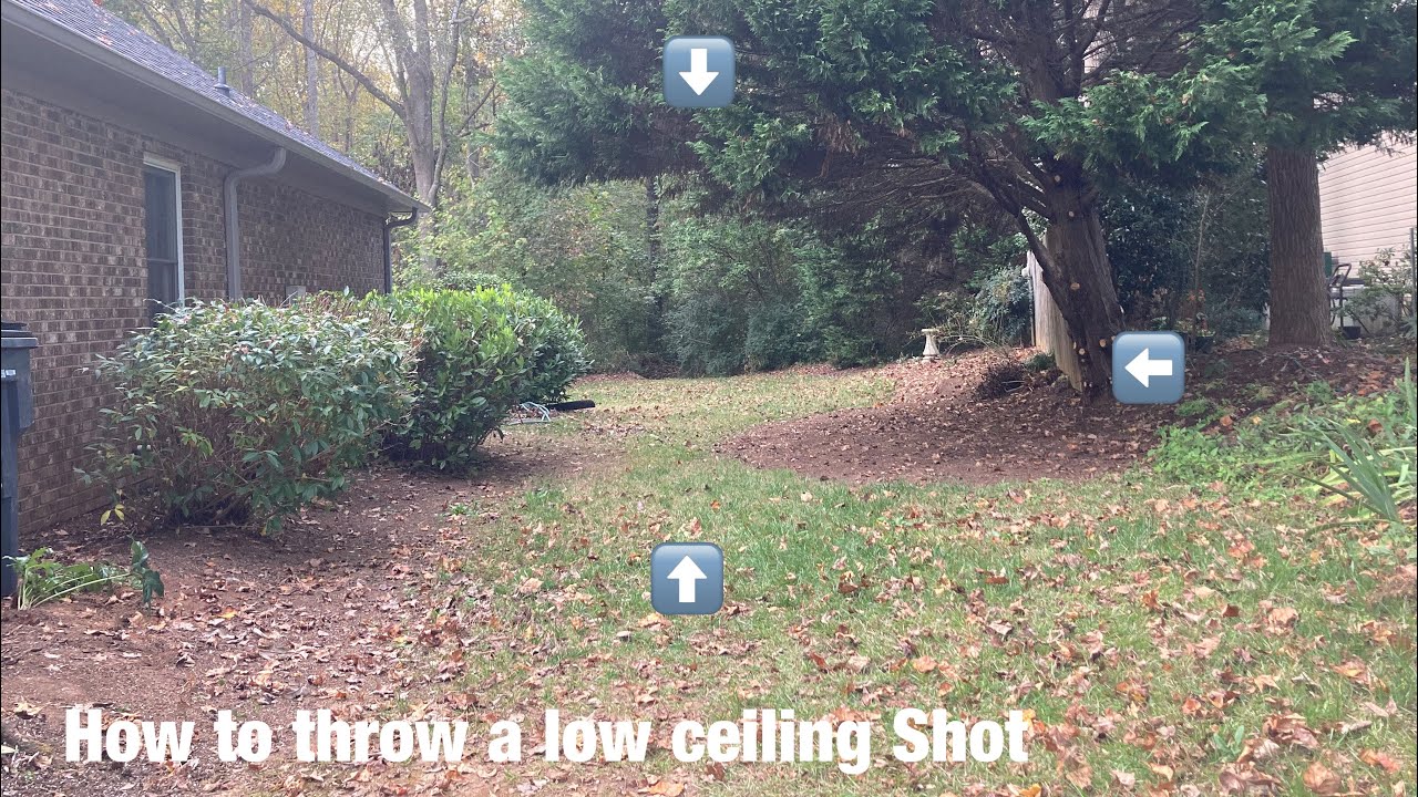 How to Throw a Low ceiling Shot