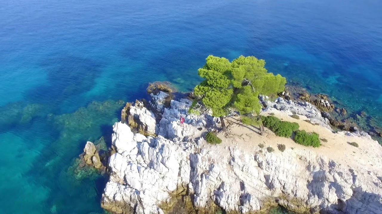 Skopelos 2019 - Amarantos ( 3 trees )