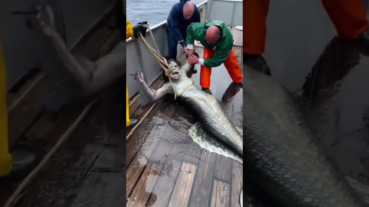 Ocean Horror: Fishermen Capture Bizarre Half-Human Sea Creature! #mermaid #mermaids #ocean #fishing