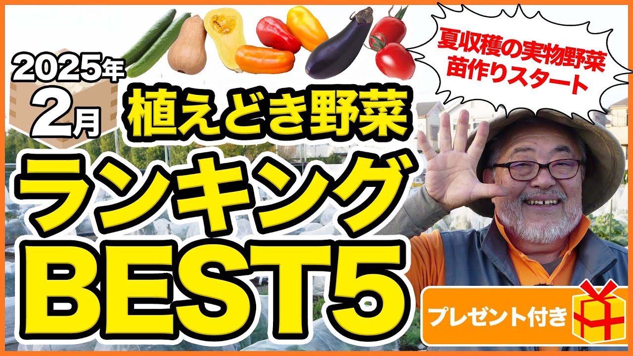 プレゼント企画付き！家庭菜園や農園で2月にオススメ！植えどき野菜ランキングBEST5！栽培オススメ品種の育て方を徹底解説！【農園ライフ】