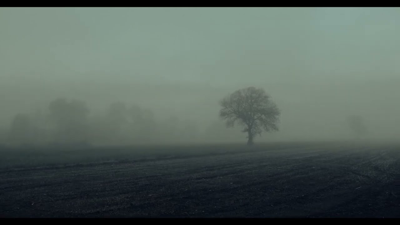 MiTra - Quand La Vie T’Achève, Tu Te Relèves