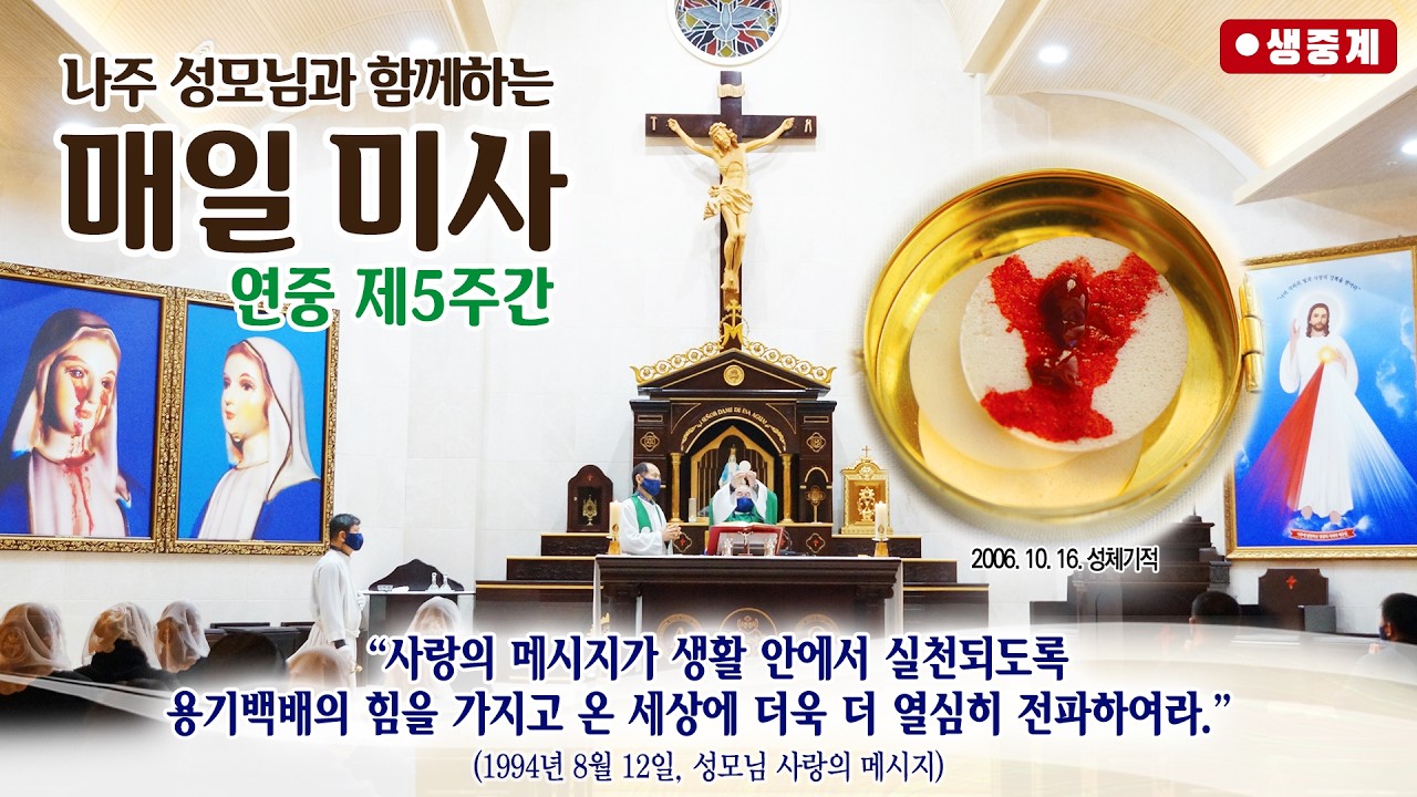 [매일미사] 2026년 2월 13일 연중 제5주간 금요일 미사