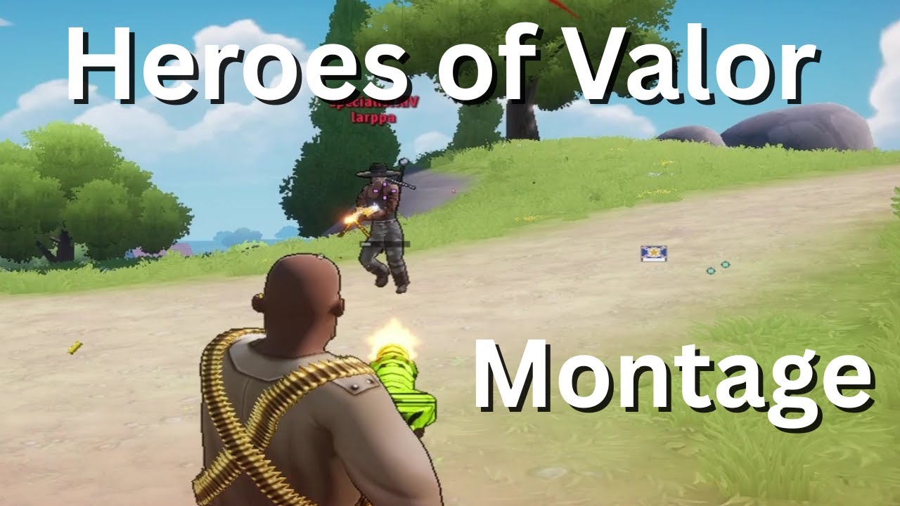 Heroes of Valor Montage #6 - Bippsey