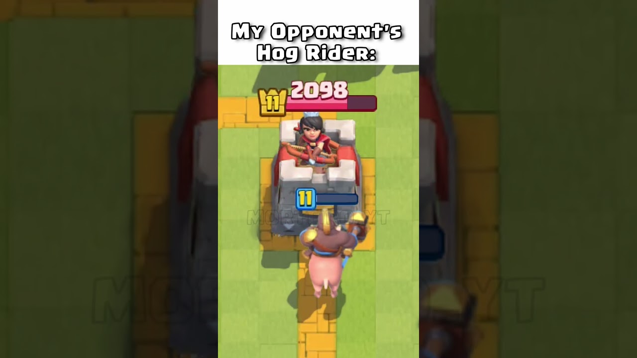 My Hog Rider 💀