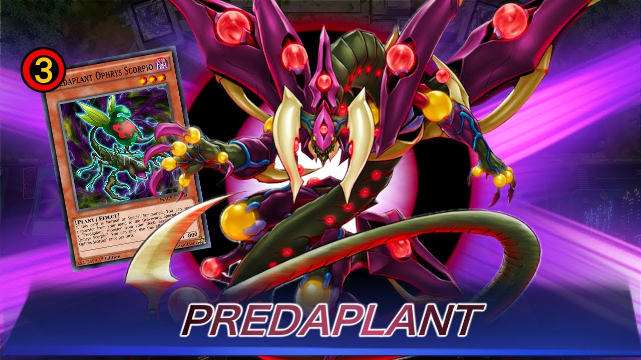 FULL POWER PURE PREDAPLANTS: Predaplant Core Card at 3 - Rank Season 25 | YuGiOh! Master Duel