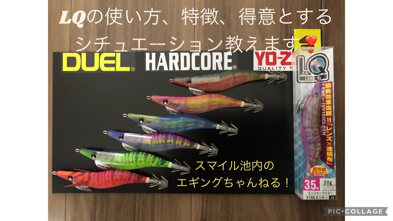 【エギング】LQの使い方、デカイカの釣り方教えます！重要なお話しを喋っています。絶対に聞き逃さないこと！　＃エギング　＃春イカ　＃池内修次