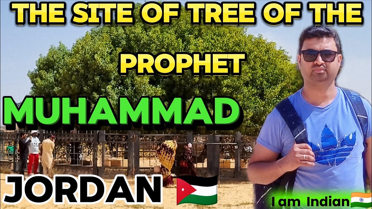 AL #buqayawiyya the #blessed #sahabi tree of prophet #Muhammad 1400 YEARS OLD HOLY TREE🌲#JORDAN ZAIN