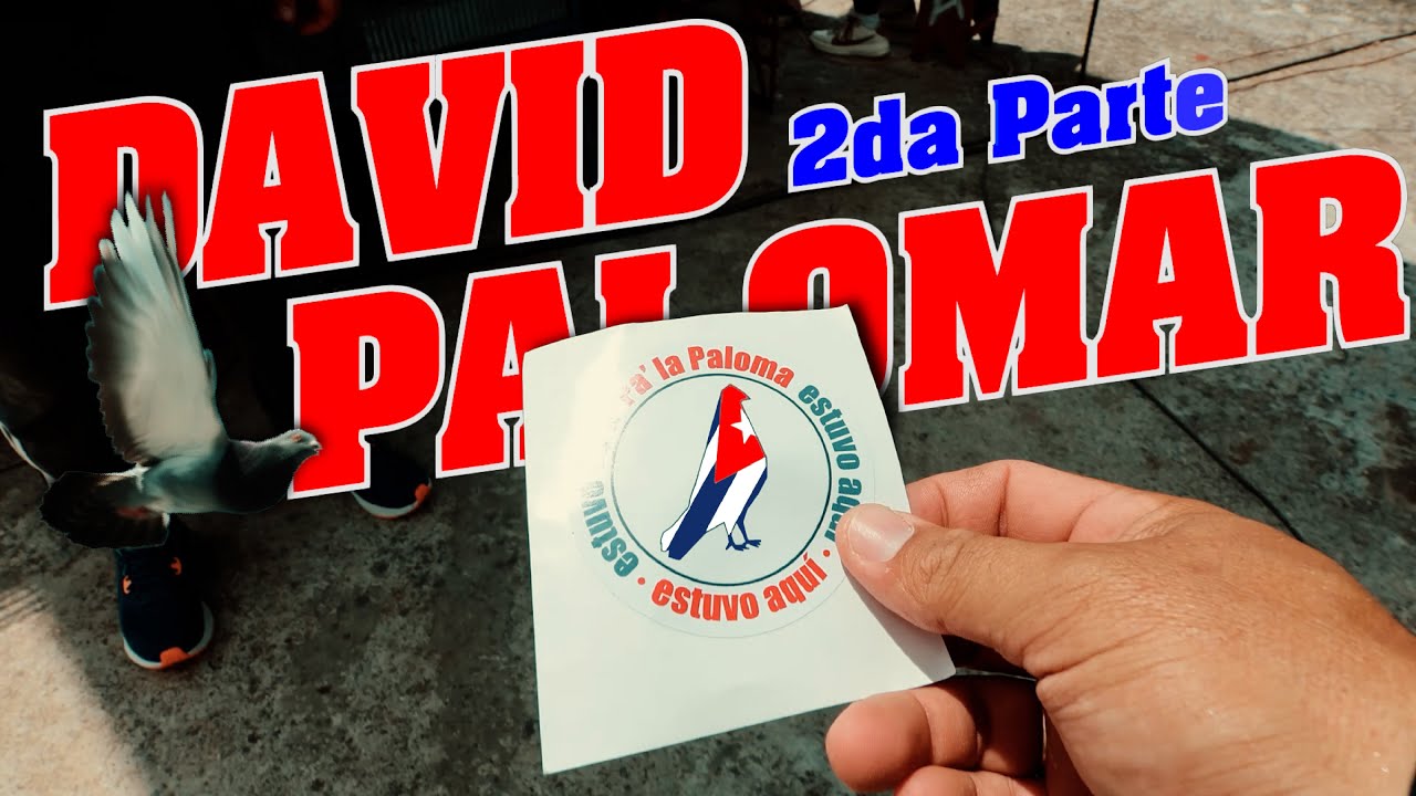✅PALOMAR de DAVID - 💥¡Qué tiren y cojan palomas!💥  - 2da PARTE ❗